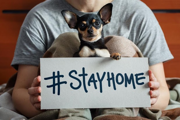 Stay At Home